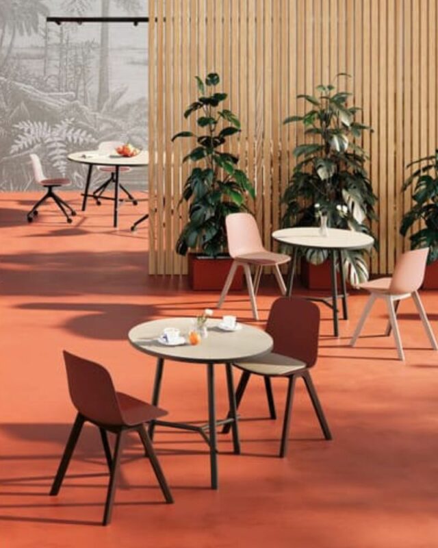 Chaises C04 disposées dans un espace lumineux et chaleureux, idéales pour des zones de restauration ou de collaboration modernes.