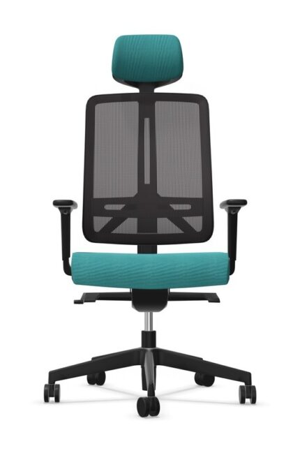 fauteuil bureau ergonomique roulette professionnel